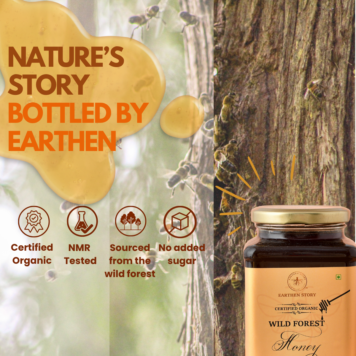 Organic Wild Forest Honey
