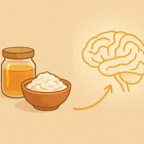 Illustration showing gut-brain connection with food on one side and a glowing brain outline on the other connected by an arrow