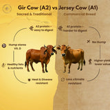 A2 Gir Cow Ghee