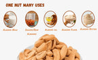 Premium Mamra Almonds