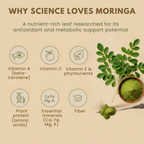 Certified Organic Moringa Powder (200g)