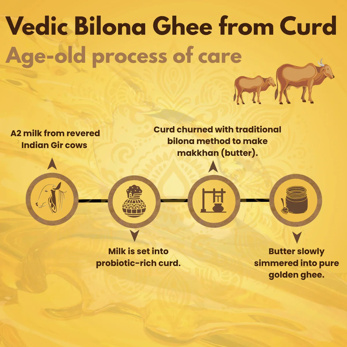 A2 Desi 100% Pure Gir Ghee