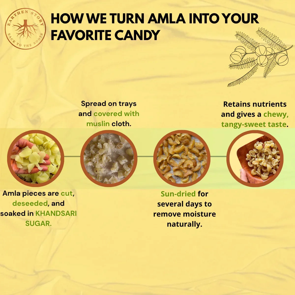 Organic Amla Candy Chatpata