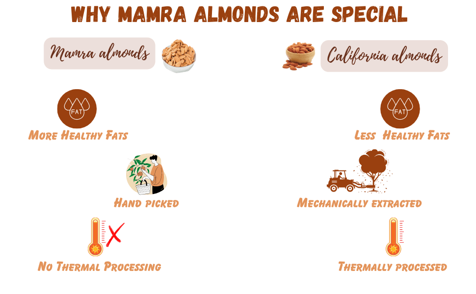 Premium Mamra Almonds