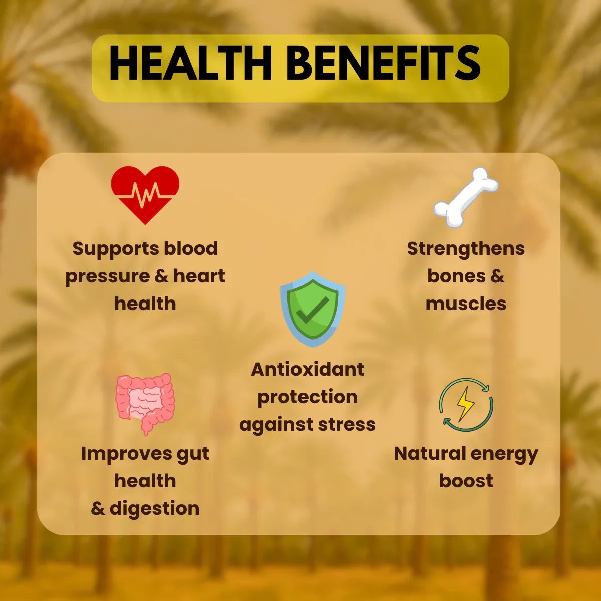 Premium Medjool Dates, 500g