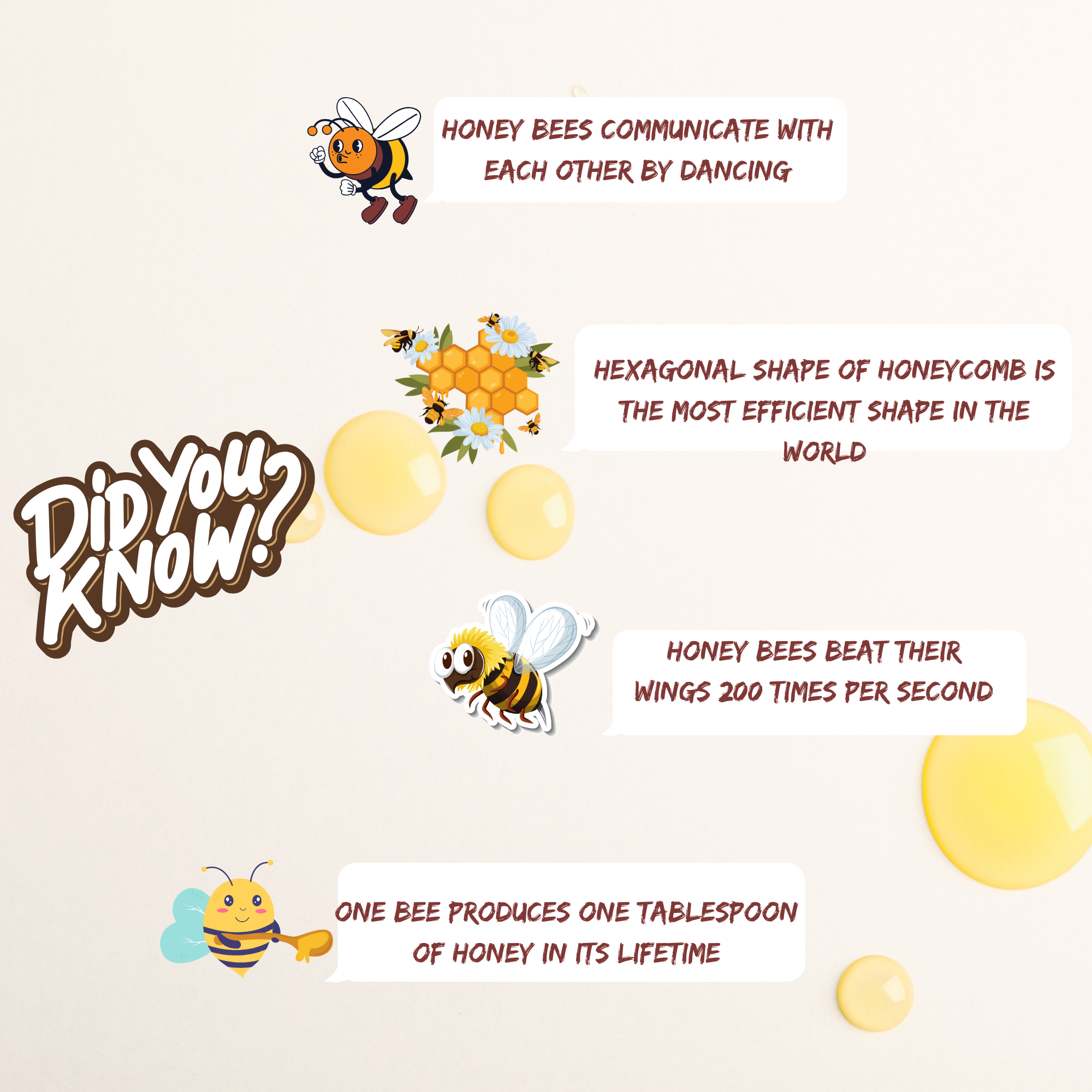 Organic Wild Forest Honey
