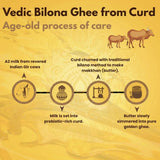Vedic Bilona Ghee production process from A2 Gir cow milk through traditional churning to pure golden ghee