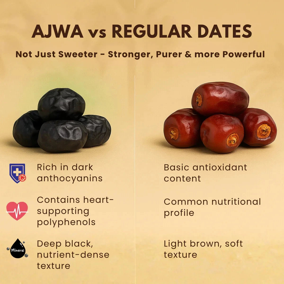 Ajwa dates vs regular dates comparison infographic showing nutritional and quality differences
