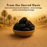 Ajwa dates in ceramic bowl on sandy desert background with palm trees, showcasing premium organic dates from Medina