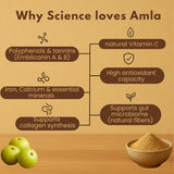 Amla powder benefits infographic showing polyphenols, vitamin C, minerals, antioxidants, and fiber content for digestive health
