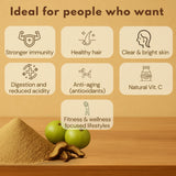 Amla powder benefits infographic showing immunity, hair health, skin clarity, digestion, antioxidants, vitamin C, and wellness lifestyle