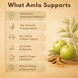 Amla powder benefits infographic showing immunity, hair strength, skin glow, digestion, sugar metabolism, and natural energy support