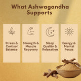 Ashwagandha powder benefits infographic showing stress relief, strength recovery, sleep quality, and mental focus with root illustration