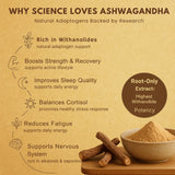 Ashwagandha powder benefits infographic showing withanolidies content, stress support, sleep quality, and energy boost information