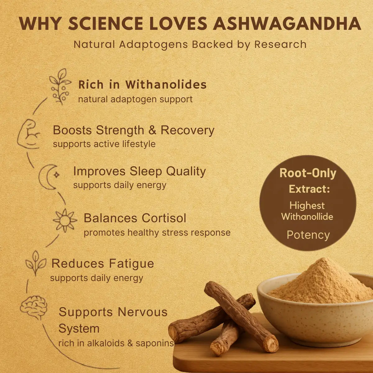 Ashwagandha powder benefits infographic showing withanolidies content, stress support, sleep quality, and energy boost information