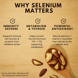 Brazil nuts selenium benefits infographic showing immunity defense, metabolism support, and antioxidant properties