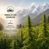 Himalayan sourced hemp hearts grown at high altitude with plant protein and omega callouts