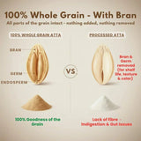 Whole grain vs processed atta comparison showing bran, germ, and endosperm components for jowar flour
