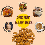 Infographic showing six almond products: soaked raw almonds, almond oil, almond flour, almond milk, almond butter, and whole almonds