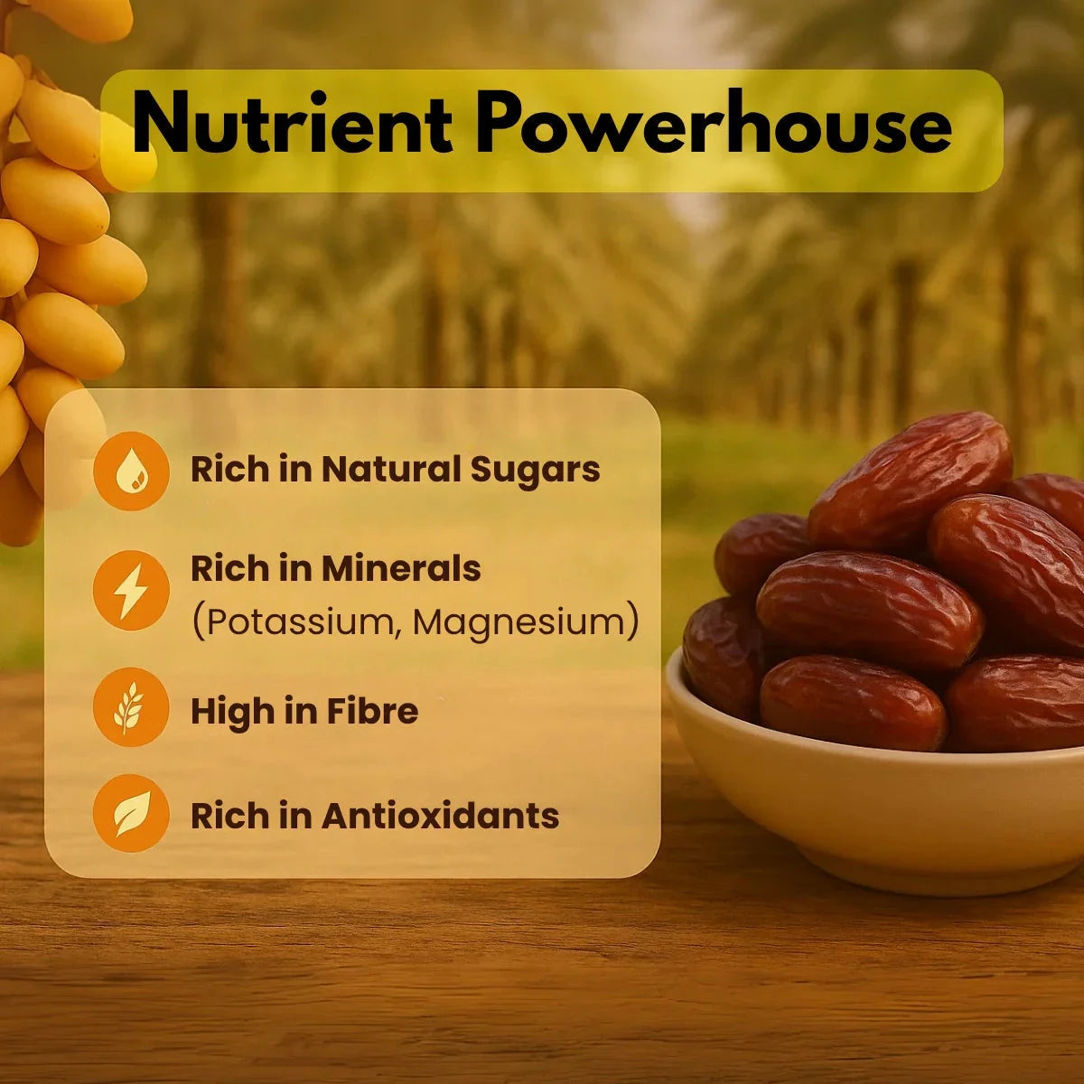Medjool dates nutrient powerhouse infographic showing natural sugars, minerals, fiber, and antioxidants