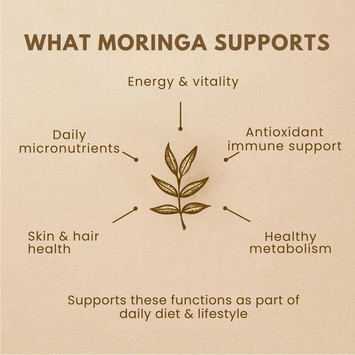 Moringa powder benefits diagram showing support for energy, micronutrients, immunity, metabolism, and skin health
