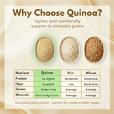 Quinoa nutritional comparison infographic showing protein, fiber, gluten-free properties and mineral content versus rice and wheat