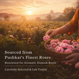 Rose Water sourced from Pushkar Damask roses carefully selected and lab tested