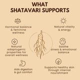 Shatavari root benefits infographic showing hormonal balance, energy, stress relief, digestion support, and skin nourishment