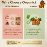 Infographic comparing organic and non-organic farming methods, highlighting natural farming benefits and safety advantages