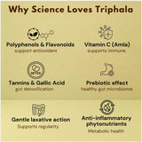 Triphala powder benefits infographic showing polyphenols, vitamin C, tannins, prebiotic effects, laxative action, and anti-inflammatory properties