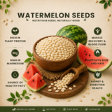 Watermelon Seeds benefits showing plant protein magnesium and healthy fats