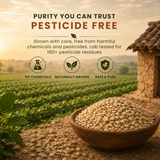 Watermelon Seeds pesticide free and lab tested purity image