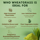 Wheatgrass powder benefits infographic showing ideal uses for processed food intake, iron-deficient diets, oxidative stress, and vegetable intake