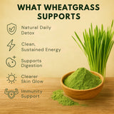 Wheatgrass powder in wooden bowl with fresh grass showing natural detox, energy, digestion, skin, and immunity benefits